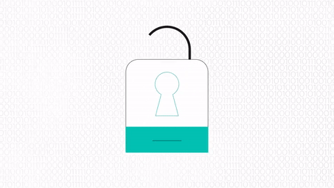 Point to Point Encryption